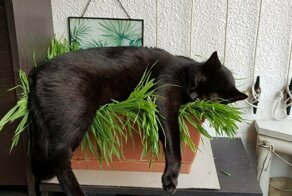 С добрым утром!