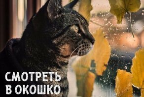 Чем можно заняться осенью