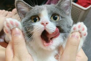 Фотоподборка