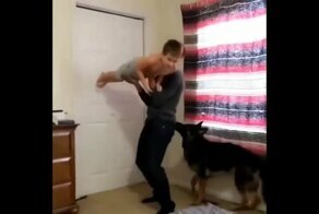 Хозяин, я тоже хочу летать!