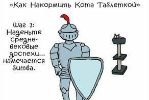 Как скормить коту таблетку: пошаговая комикс-инструкция. И да пребудет с вами Господь!