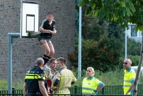 15 фотографий необъяснимого безумия, которое одновременно привлекает и выносит мозг