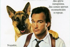 История пса-актера из фильма «К-9: Собачья работа», вышедшего 30 лет назад
