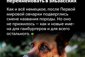 Небольшая подборка интересных фактов обо всем