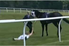 Остановила коня на скаку