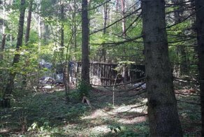 "Объедки, грязь и фаллоимитатор": полиция показала дом преступника, напавшего на Эллу Памфилову