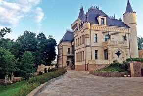 Слишком высокий замок Пугачёвой и Галкина мешает соседским огородам