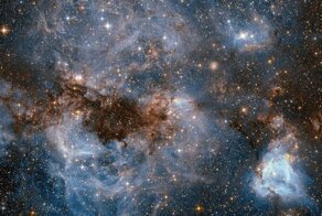 Изменения в знаках зодиака: почему появился Змееносец, и приняли ли его астрологи?