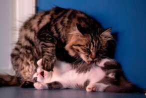 С добрым утром!