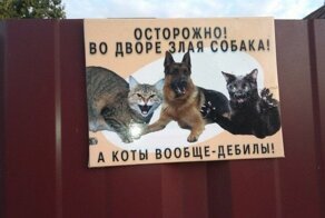 Креативизм головного мозга