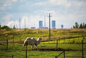 Провинциальные просторы