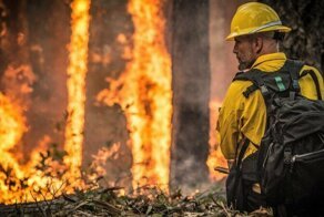 Почему горит Калифорния