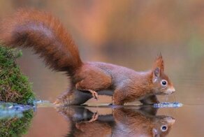Фотограф раскрывает тайную красоту природы