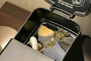 Туристы делятся жуткими фото из отелей, в которые они больше ни ногой