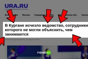 Ни ума, ни чести, ни совести: дайджест о "слугах народа"