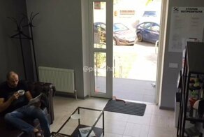 В краснодарскую парикмахерскую заглянул неожиданный  гость