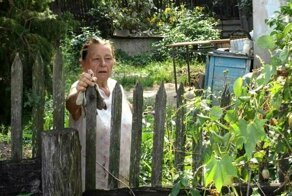 Соседка истерит из-за того, что я собираю урожай с ее деревьев, которые переросли на мой участок