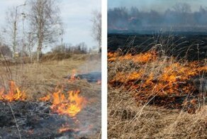 Можно или нельзя жечь сухую траву: правила и заблуждения