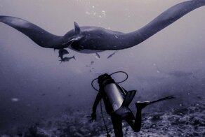 Свежая коллекция снимков со всего мира за 16.09.2019