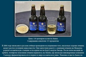 Самые дорогие сорта пива