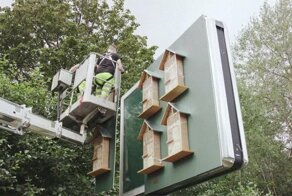 "Макдональдс" построил отели для пчел на своих билбордах