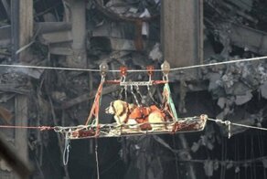 Собаки - герои 11 сентября