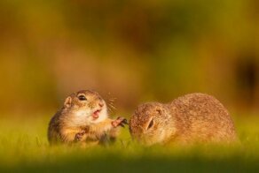 Свежая коллекция снимков со всего мира за 18.09.2019