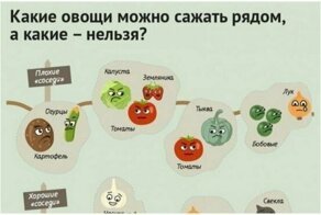25 очень важных шпаргалок для садоводов-огородников
