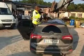 Последствия столкновения автомобиля с крупным лосем в Польше