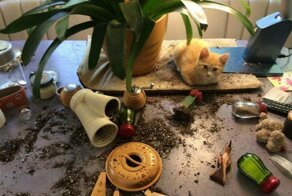 Фотоподборка