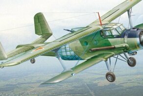 Злобный "Кукурузник" или Как Ил-2 с Ан-2 переспали