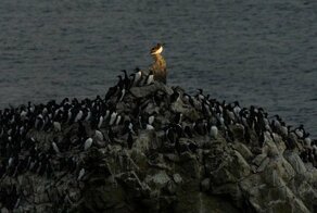Свежая коллекция снимков со всего мира за 19.09.2019