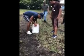 Я поймал кролика, помоги же мне!