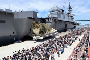 Нет войне, да - котикам: фотошопер соединяет гигантских котов и военную технику