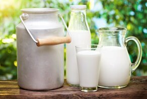 Почему молоко белого цвета?