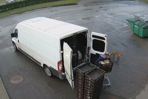 Лиса-сладкоежка попыталась украсть торт у грузчика 