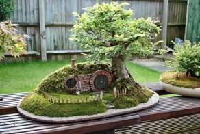 Искусство бонсай