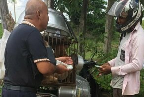 Добрый мужчина выкупил у торговца мясом собак, которых должны были съесть