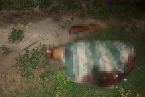 Конструктор из молодого человека, обнаруженный на обочине дороги