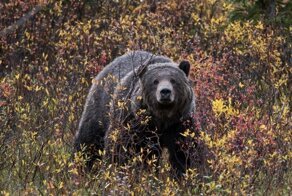 Утренняя коллекция снимков со всего мира за 25.09.2019