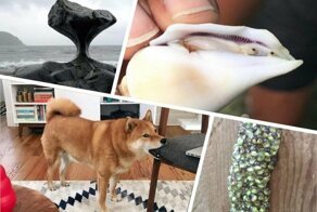 Фотографии обо всём на свете, показывающих,  что жизнь — удивительная штука