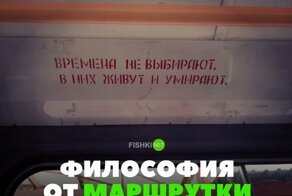 Подборка автомобильных приколов