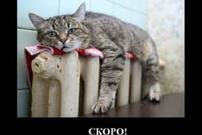 Веселые  и почти беззлобные демотиваторы на понедельник