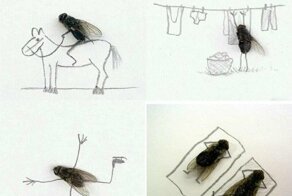 Скриншоты из социальных сетей