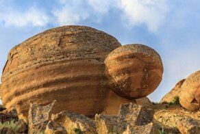 Камни умеют дышать, размножаться и перемещаться