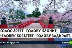 Мудрые японские слова