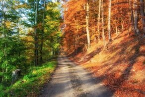 18 странных совпадений и ситуаций, после которых не останется сомнений, что мы живём в матрице