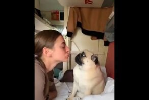 Когда ты образцовый семьянин и тебя пытается соблазнить попутчица