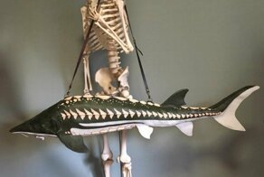 Японский художник создаёт различные аксессуары в виде жутких гигантских существ