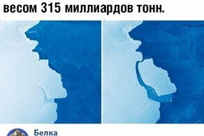 Скрины из социальных сетей